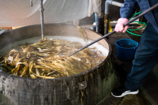 Cooking of the plant material