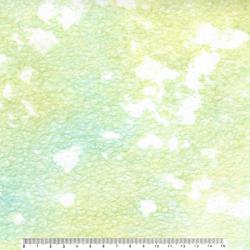 落水小雨 No.13